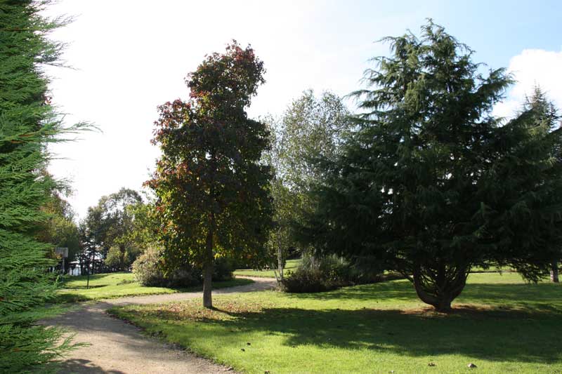 Vue du parc 